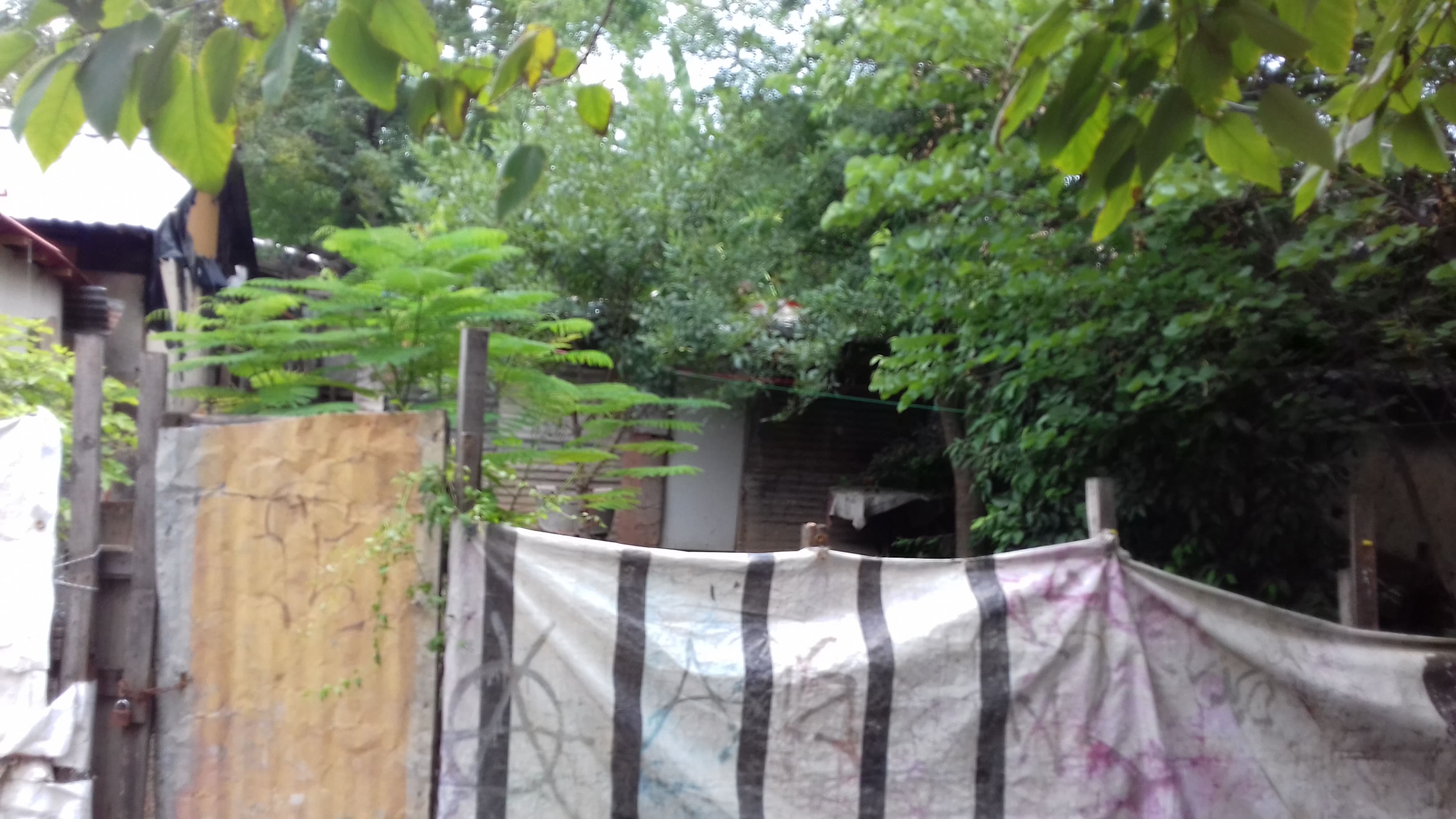 Dry conditions of local neighborhood